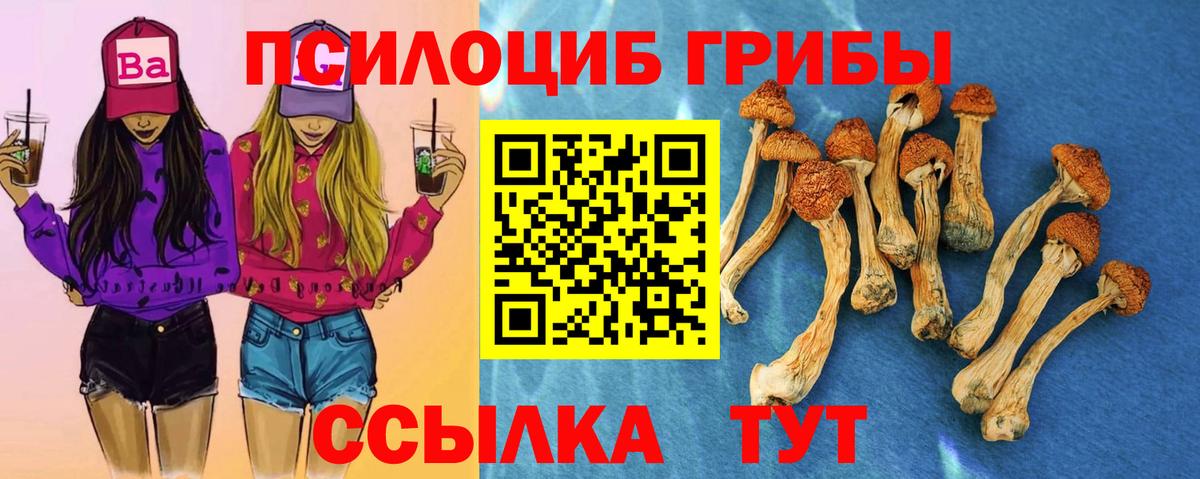 Псилоцибиновые грибы прущие грибы  Вход с VPN  Можга 
